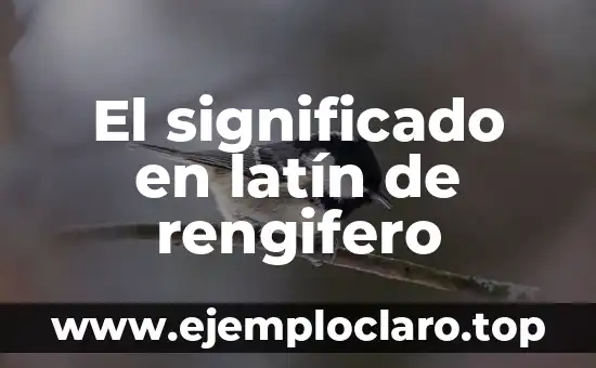 El Significado en Latín del Mito: Un Viaje al Corazón de la Narrativa 7 El significado en latín de rengifero