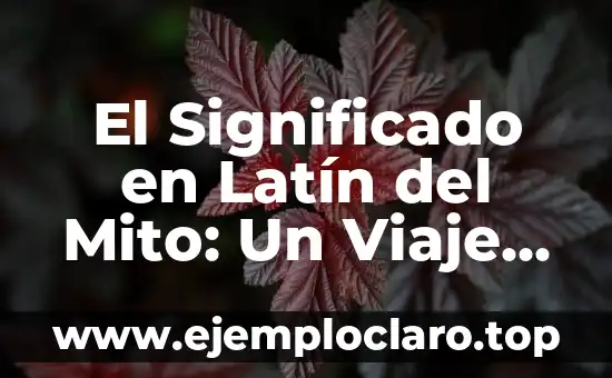 El Significado en Latín del Mito: Un Viaje al Corazón de la Narrativa
