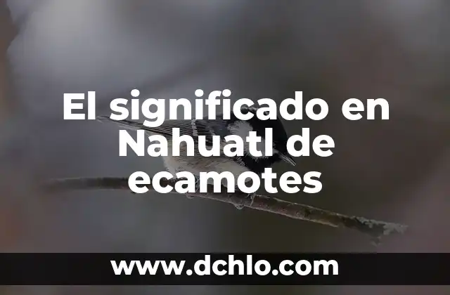 Estilo de Arte Churrigueresco Significado 6 El significado en Nahuatl de ecamotes