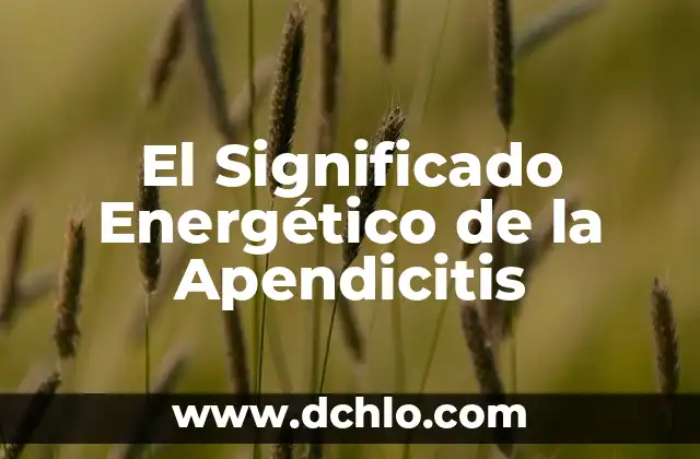 Cual es el significado de pululan 6 El Significado Energético de la Apendicitis