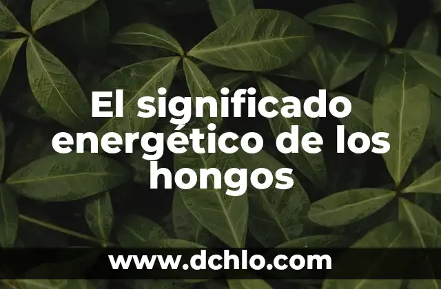 Cual es el significado de pululan 3 El significado energético de los hongos