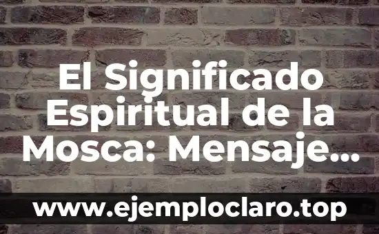 El Significado Espiritual de la Mosca: Mensaje Espiritual de las Moscas