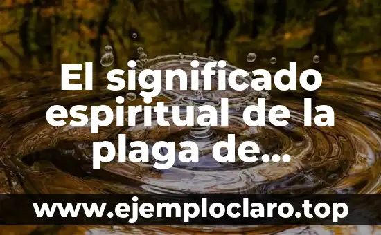 Placeres de la vida: Un viaje al significado de las pequeñas alegrías 3 El significado espiritual de la plaga de cucarachas