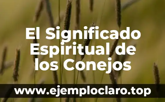 El Nombre de los Conejos: Un Viaje al Origen de su Significado 4 El Significado Espiritual de los Conejos