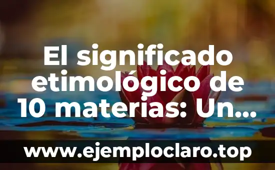 El significado etimológico de 10 materias: Un viaje a través del lenguaje