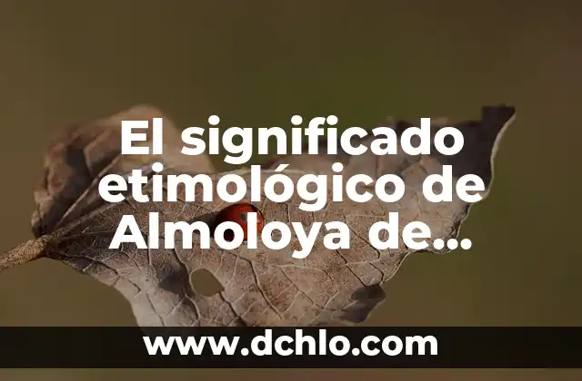 ¿Cuál es el significado de constelación? 4 El significado etimológico de Almoloya de Hidalgo