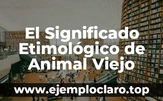 El Significado Etimológico de Animal Viejo