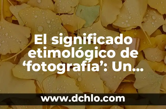 Etimología y significado de antónimo: Un viaje a través del lenguaje 5 El significado etimológico de ‘fotografía’: Un viaje a través del lenguaje