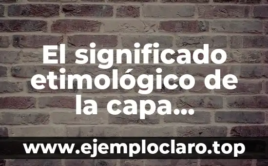 El significado etimológico de la capa subcutánea: Un viaje a través del tiempo