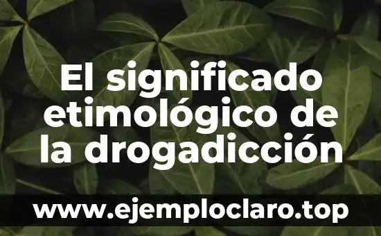 El significado etimológico de la drogadicción