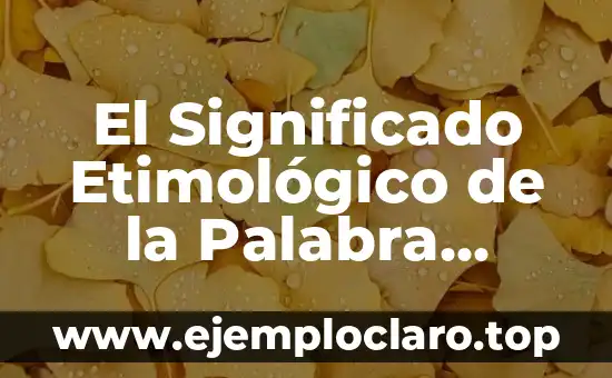 El Significado Etimológico de la Palabra Lógica