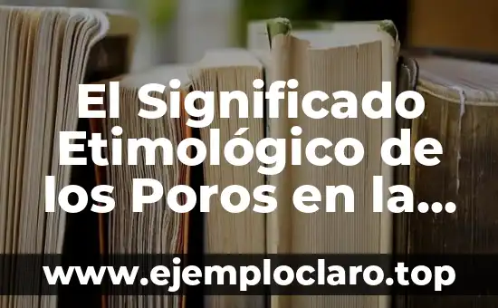 El Significado Etimológico de los Poros en la Dactiloscopia: Un Viaje al Origen de los Términos