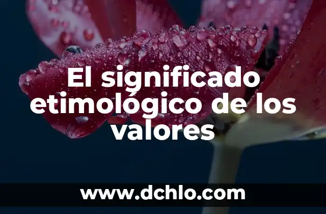 Significado de Contundencia en Lógica: Conceptos y Aplicaciones 8 El significado etimológico de los valores