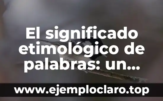 El significado etimológico de palabras: un viaje a sus orígenes
