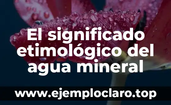 El significado etimológico del agua mineral