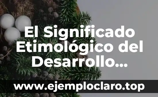 El Significado Etimológico del Desarrollo Sustentable