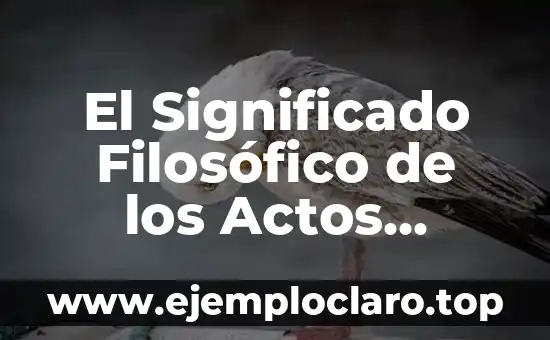 Cual Es el Significado de Haiku 7 El Significado Filosófico de los Actos Morales