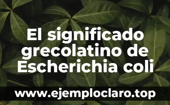 El significado grecolatino de Escherichia coli