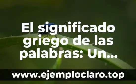 El significado griego de las palabras: Un viaje a las raíces del lenguaje