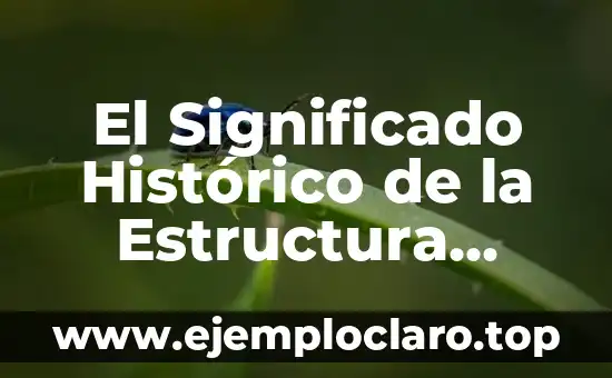 El Significado Histórico de la Estructura Económica
