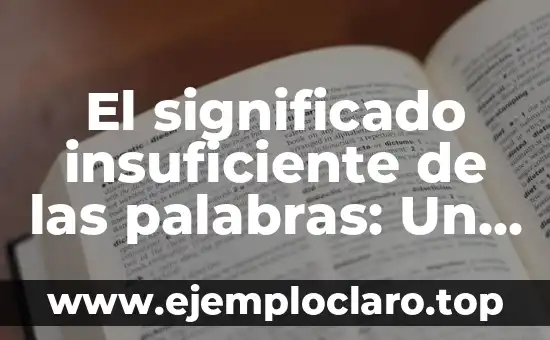 El significado insuficiente de las palabras: Un enfoque detallado