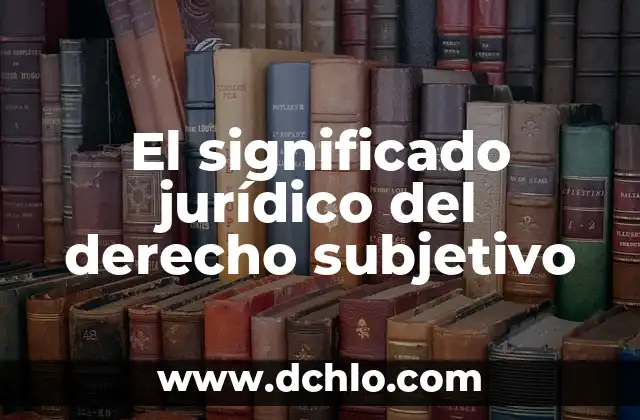 Significado Jurídico de Propter Rem 7 El significado jurídico del derecho subjetivo