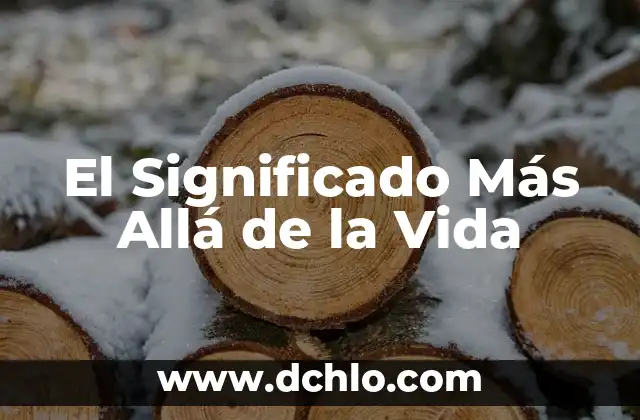 Michoacán, el significado más allá de la muerte 3 El Significado Más Allá de la Vida