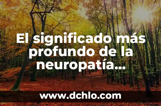 Los Mejores Juegos Gratis para PC: Descubre los Títulos más Divertidos 4 El significado más profundo de la neuropatía diabética