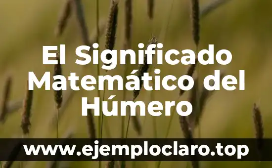 El Significado Matemático del Húmero