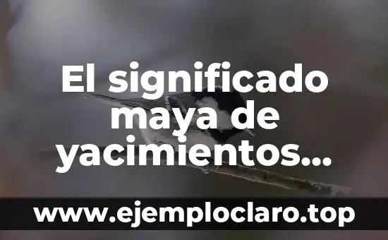 Significado de Me Caes de Pelos - Una Expresión Común en Español 4 El significado maya de yacimientos petrolíferos
