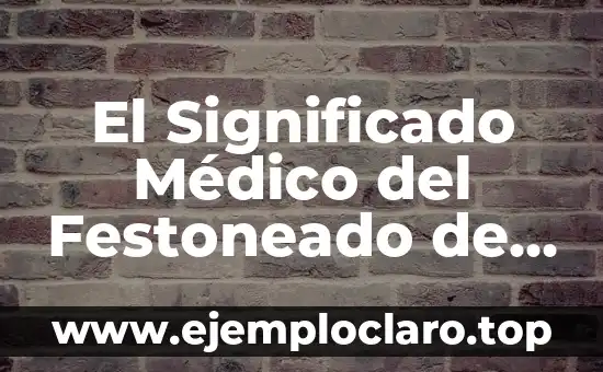 El Mundo de los Sueños: Descubre el Significado de tus Sueños 4 El Significado Médico del Festoneado de Raíz