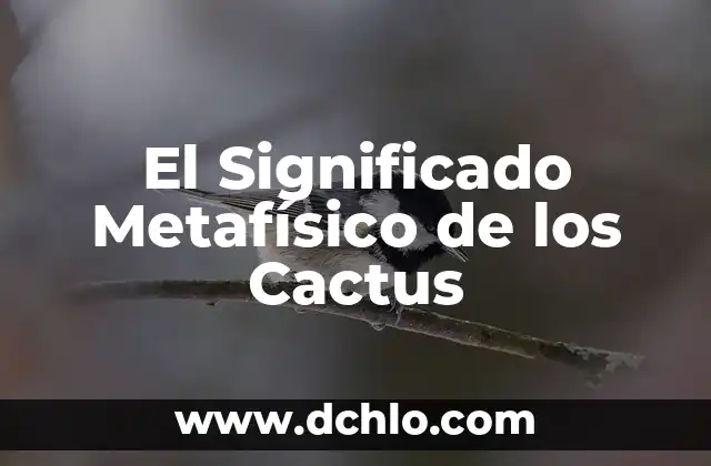 El Significado de Realmente Hermoso: Una Exploración de la Belleza Profunda 7 El Significado Metafísico de los Cactus