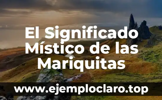 El significado de reciar indias: Un viaje a través de la historia y la cultura 7 El Significado Místico de las Mariquitas