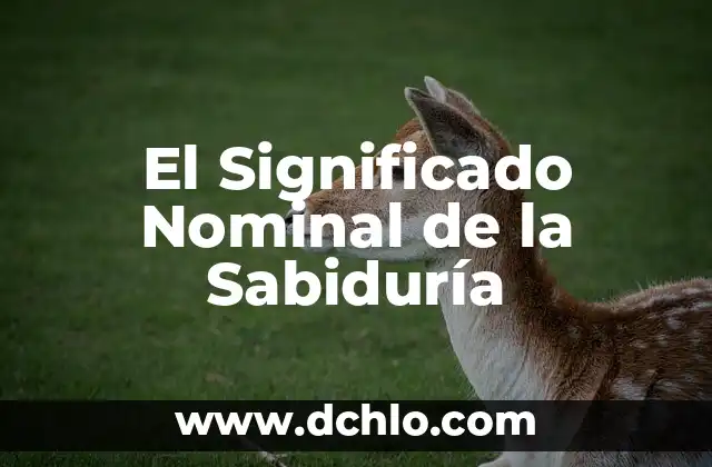 ¿Cuál es el significado de G8? 5 El Significado Nominal de la Sabiduría