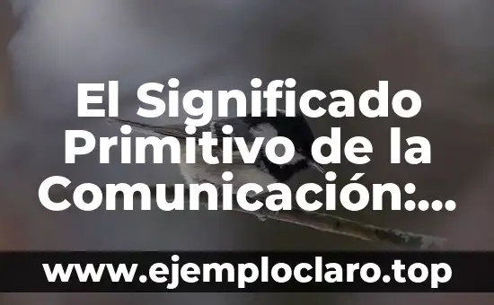 El Significado Primitivo de la Comunicación: Orígenes y Evolución