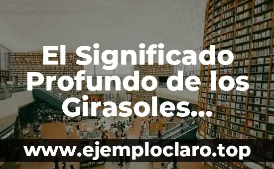 El Significado Profundo de los Girasoles Amarillos