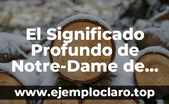 Tener Cargo de Conciencia Significado 8 El Significado Profundo de Notre-Dame de Paris