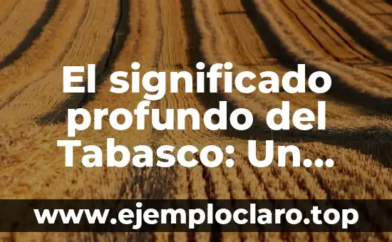 El significado profundo del Tabasco: Un viaje cultural y culinario