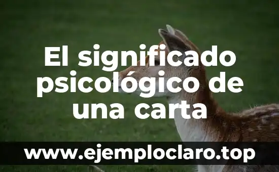 Televisión a la Carta: La Promesa de una Nueva Era de Entretenimiento 7 El significado psicológico de una carta