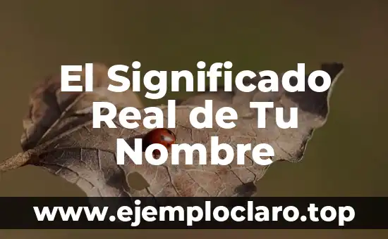 Descubre el significado de Nagisa: Un nombre con raíces profundas en la cultura japonesa 6 El Significado Real de Tu Nombre