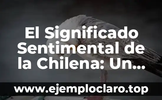 El Significado Sentimental de la Chilena: Un Viaje por su Historia y Simbolismo