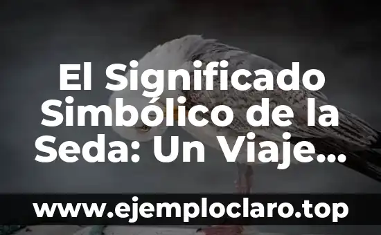 El Significado Simbólico de la Seda: Un Viaje a Través de la Historia y la Cultura