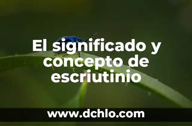 Buscar significado de nombre Gustavo 4 El significado y concepto de escriutinio
