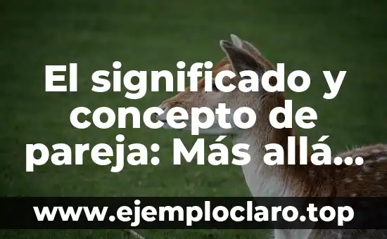 El significado y concepto de pareja: Más allá del amor