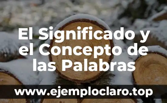 El Significado y el Concepto de las Palabras