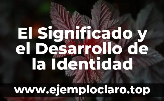 El Significado y el Desarrollo de la Identidad