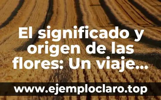 Significado y Origen de Belleza: Un Viaje a Través de la Estética 8 El significado y origen de las flores: Un viaje a través de su historia y simbolismo