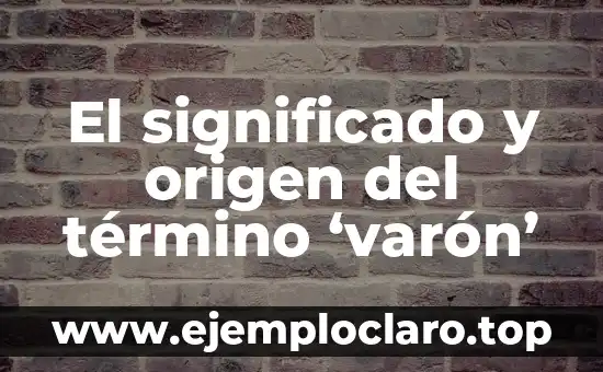 El significado y origen del término ‘varón’