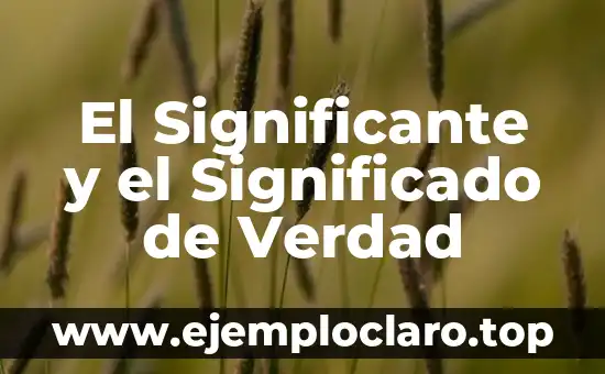 Significado y Significante de Verdad 4 El Significante y el Significado de Verdad