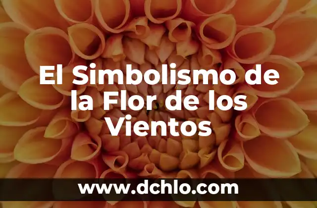 Flor de Obelisco y su Conexión con lo Oculto 4 El Simbolismo de la Flor de los Vientos